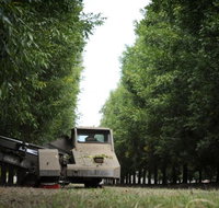 ODempseys Charters and Tours - Holiday Sunshine Coast