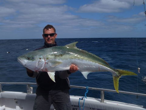 Reef Encounters Fishing Charters. - Holiday Sunshine Coast 12