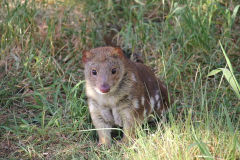 Oceania Tours And Safaris - Holiday Sunshine Coast 7