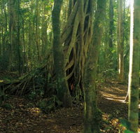 Tullawallal circuit - Sunshine Coast Tourism