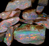 Arid Areas Tours - Sunshine Coast Tourism