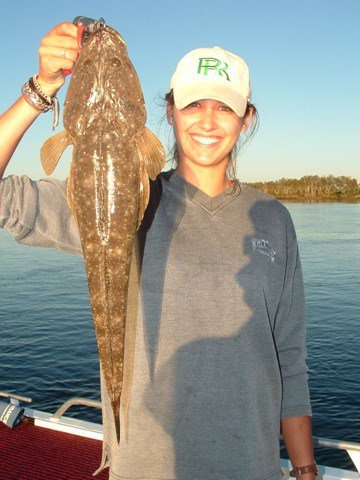 Reel Time Charters Yamba - Holiday Sunshine Coast 2