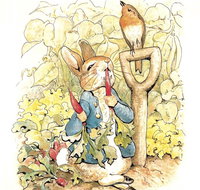 Mount Isa Civic Centre - Holiday Sunshine Coast