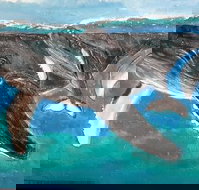 Kaz Art-Whitewash Gallery - Sunshine Coast Tourism