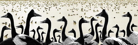 Tin Shed Art Gallery - Sunshine Coast Tourism 0