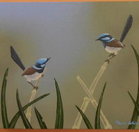 Castlereagh Collectables - Sunshine Coast Tourism