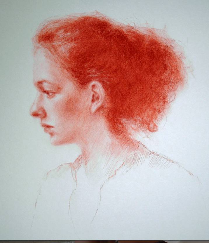 Holiday Sunshine Coast