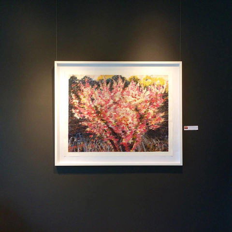 Gallery One - Holiday Sunshine Coast 1