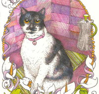 Art Hive Artist - Sunshine Coast Tourism