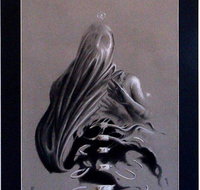 Forsight Gallery - Sunshine Coast Tourism