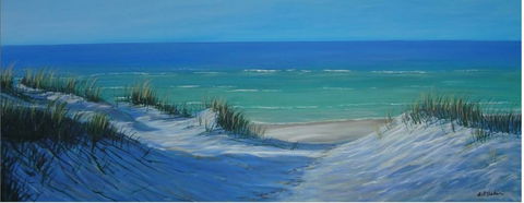 Earthquirks - Holiday Sunshine Coast 2