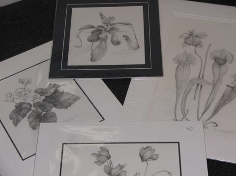 Masterpiece Framing & Gallery - Sunshine Coast Tourism 2