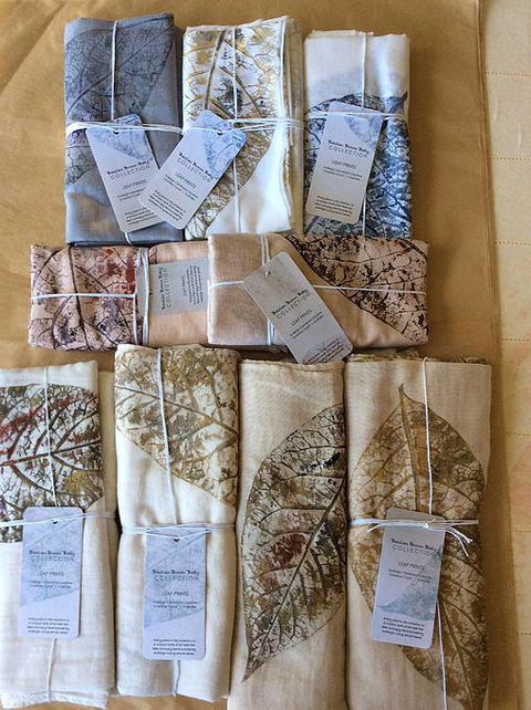 Ardleigh Cleveland Creative - Sunshine Coast Tourism 0