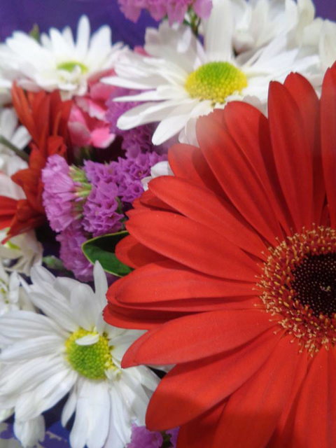 Marysworldart Bali Imports - Holiday Sunshine Coast 0