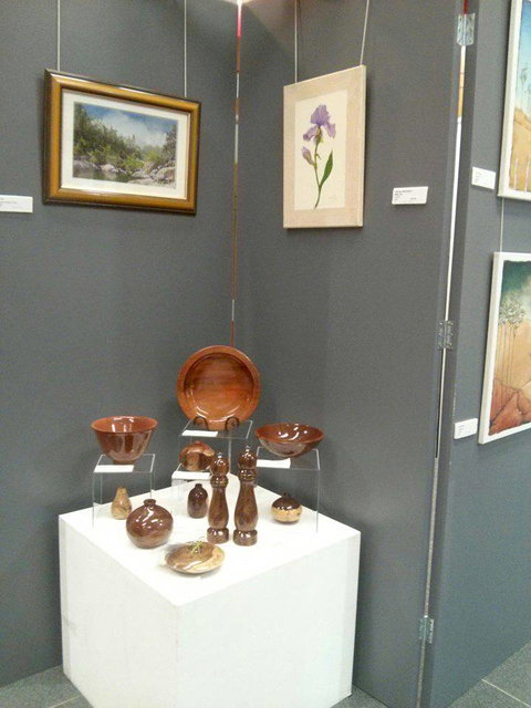 Townsville Art Society Inc - Holiday Sunshine Coast 2