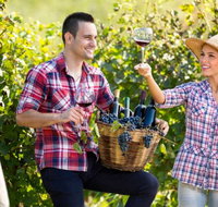 Two Tails Wines - Sunshine Coast Tourism
