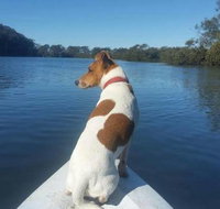 Australis Canoes  Kayaks - Sunshine Coast Tourism