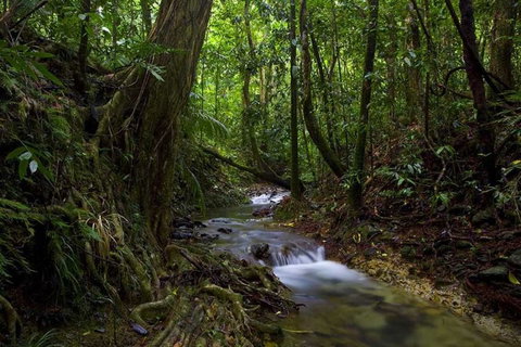 Trek North - Holiday Sunshine Coast 0