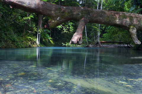 Trek North - Holiday Sunshine Coast 1