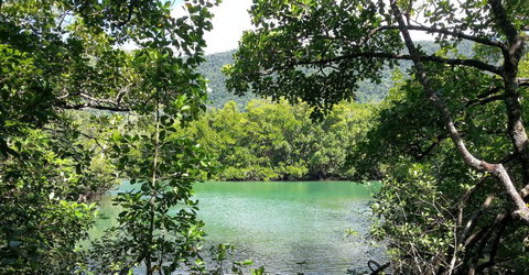 Trek North - Holiday Sunshine Coast 2