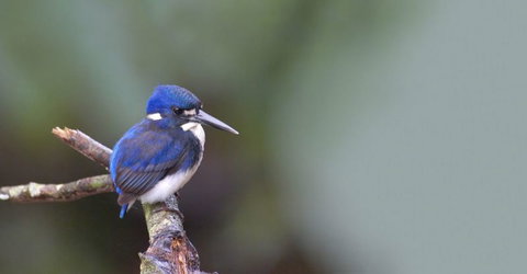 Trek North - Holiday Sunshine Coast 3