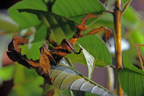 Trek North - Holiday Sunshine Coast 6