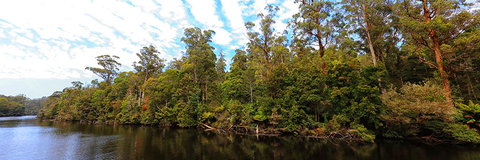 A R Reflections River Cruises - Sunshine Coast Tourism 0