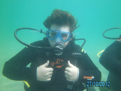 Rainforest Scuba - Sunshine Coast Tourism 0