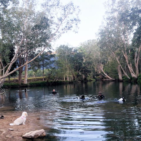 Rainforest Scuba - Sunshine Coast Tourism 1