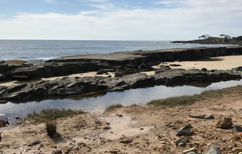 Yamba Tours And Charters - Holiday Sunshine Coast 0