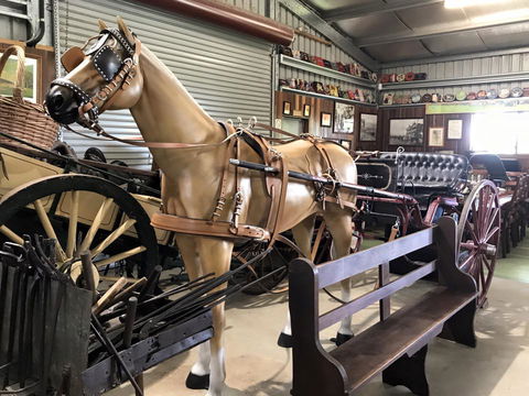 Yamba Tours And Charters - Holiday Sunshine Coast 9