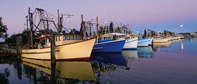 Yamba Tours And Charters - Holiday Sunshine Coast 14