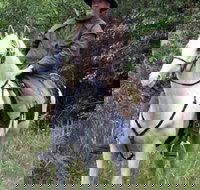 AAA Horse Riding  More - Sunshine Coast Tourism