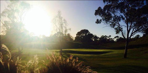 Moranbah Golf Club Inc. - Sunshine Coast Tourism 4