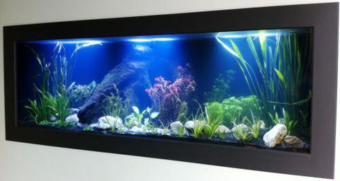 Aquariums In Cairns - Sunshine Coast Tourism 0