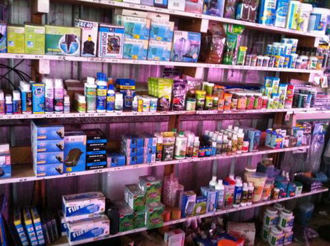 Hurley’s Aquariums - Holiday Sunshine Coast 1