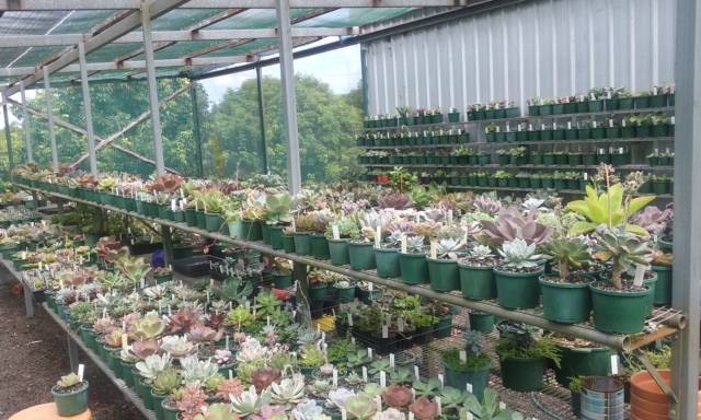 Wollongbar NSW Sunshine Coast Tourism