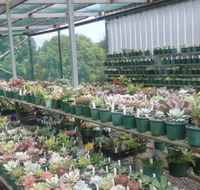 Summerland Aquarium - Holiday Sunshine Coast