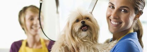 Port Stephens Pet Barn - Sunshine Coast Tourism 1