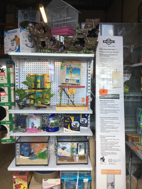 Port Stephens Pet Barn - Sunshine Coast Tourism 2