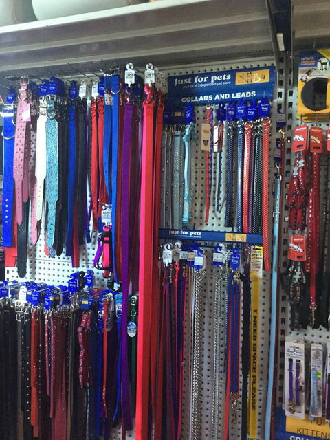 Port Stephens Pet Barn - Sunshine Coast Tourism 3