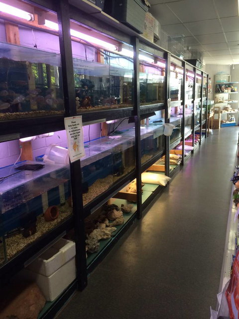 Nambour Pet Shop - Sunshine Coast Tourism 1