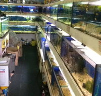 Clearwater Aquariums - Sunshine Coast Tourism