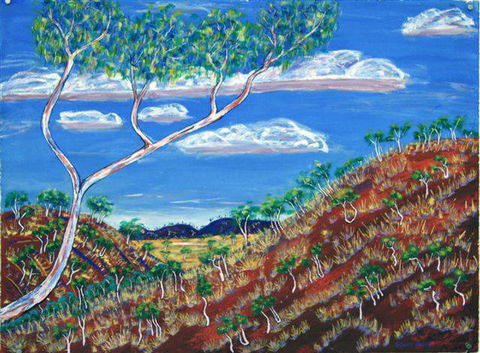 Gallery 48 - Holiday Sunshine Coast 2