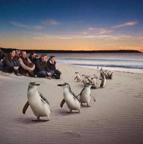 Down Under Thrills - Sunshine Coast Tourism 0