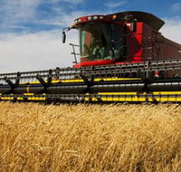 Quirindi Grain and produce - Holiday Sunshine Coast