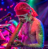 Didgeridoo Jam In The Park - Sunshine Coast Tourism 1