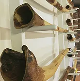 Didgeridoo Jam In The Park - Sunshine Coast Tourism 4