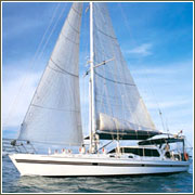 Macrista Luxury Charters - Holiday Sunshine Coast 4