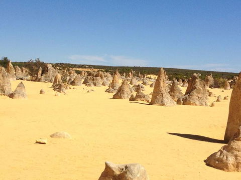 Pinnacles Desert, Koalas And Sandboarding 4WD Day Tour From Perth - Sunshine Coast Tourism 15